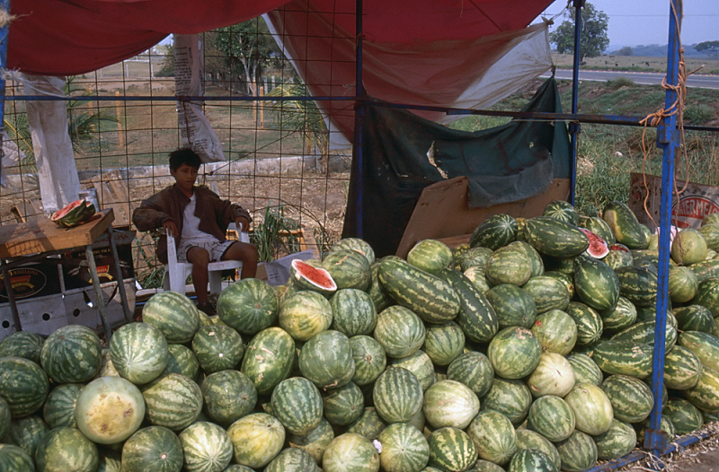 65_Meloenenverkopertje Chiapas.jpg